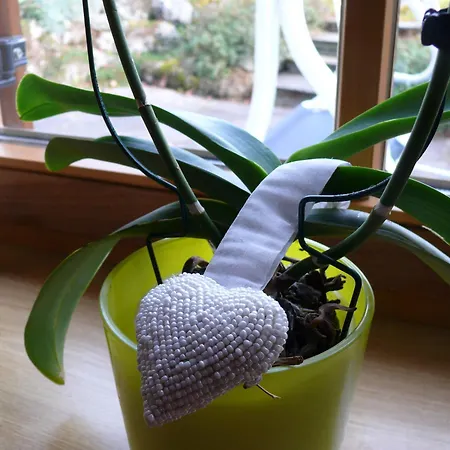 Seegartl * Fuschl am See