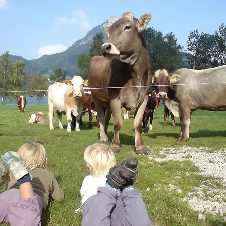 Seegartl Fuschl am See