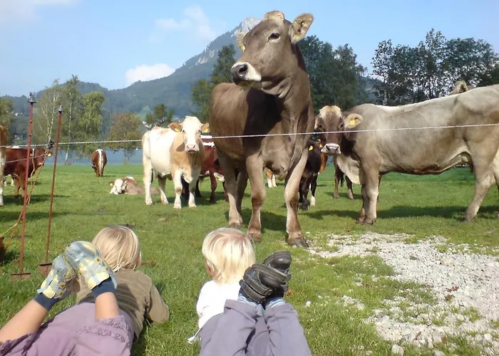 Seegartl פוסגל אם סי